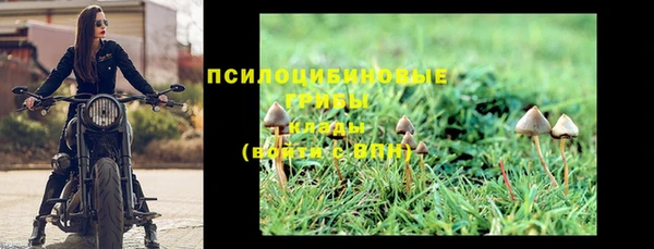 герыч Иннополис