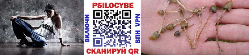 Псилоцибиновые грибы Cubensis  Малаховка 