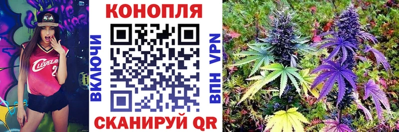 Шишки марихуана планчик  Малаховка 